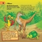 60 kérdés és válasz a dinoszauruszokról - 2