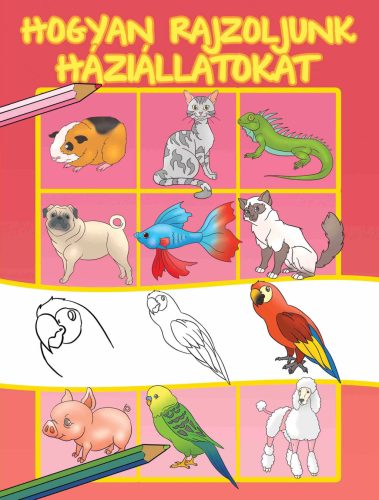 Hogyan rajzoljunk háziállatokat